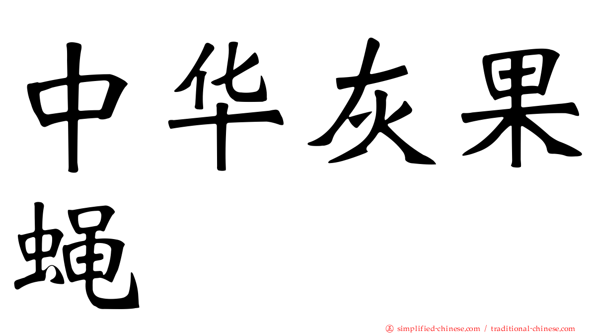 中华灰果蝇