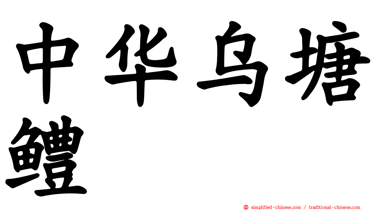 中华乌塘鳢