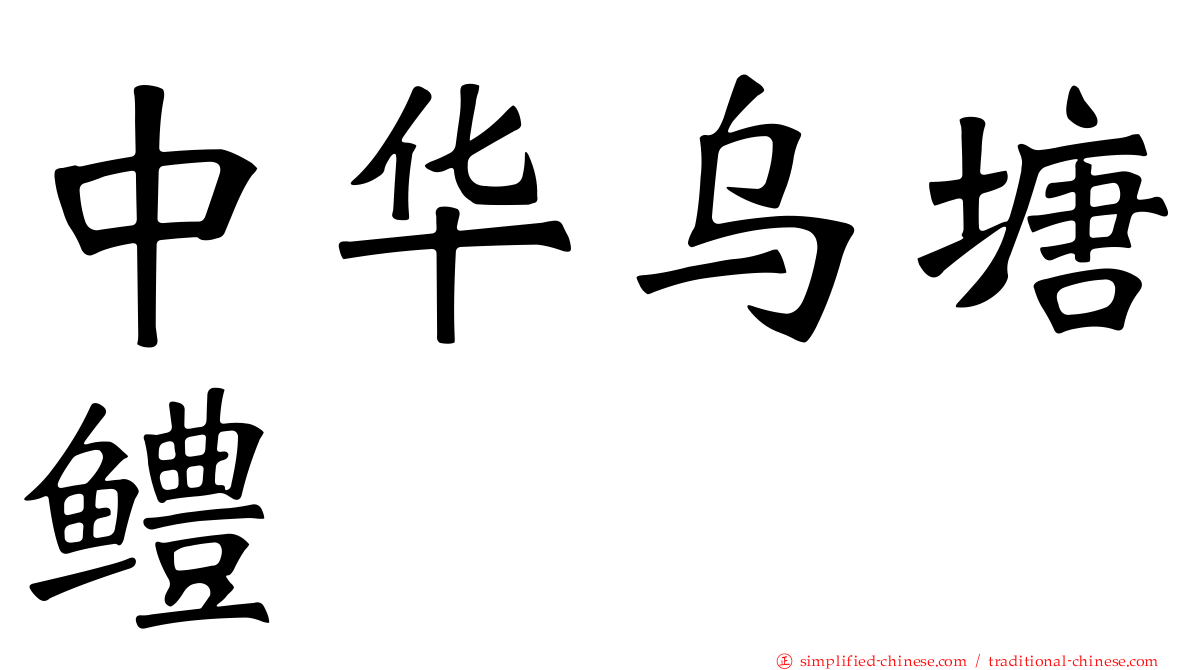 中华乌塘鳢
