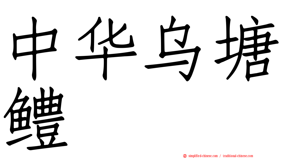 中华乌塘鳢