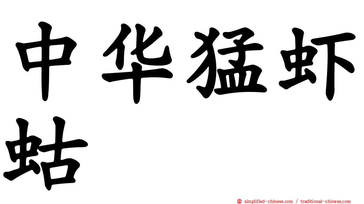 中华猛虾蛄