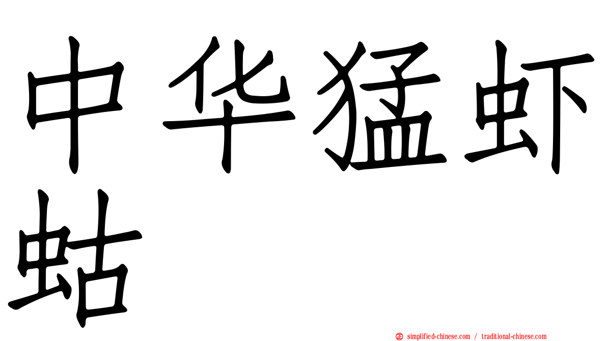 中华猛虾蛄