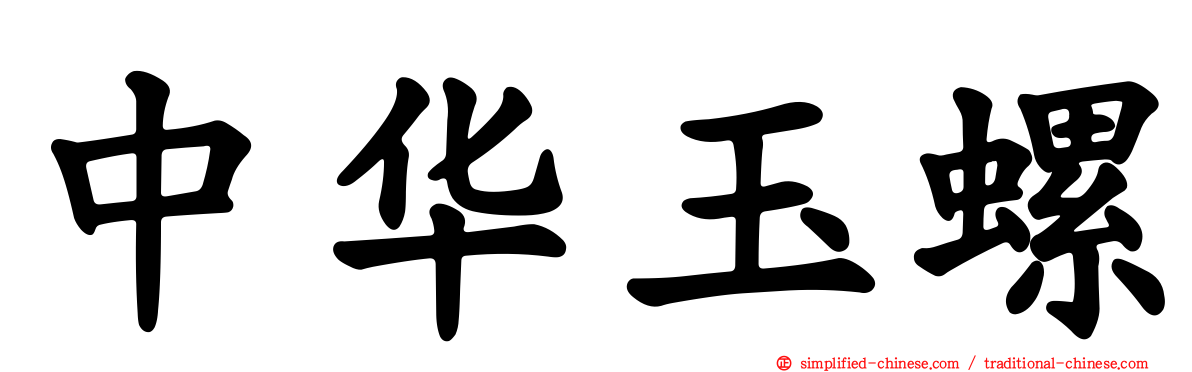 中华玉螺
