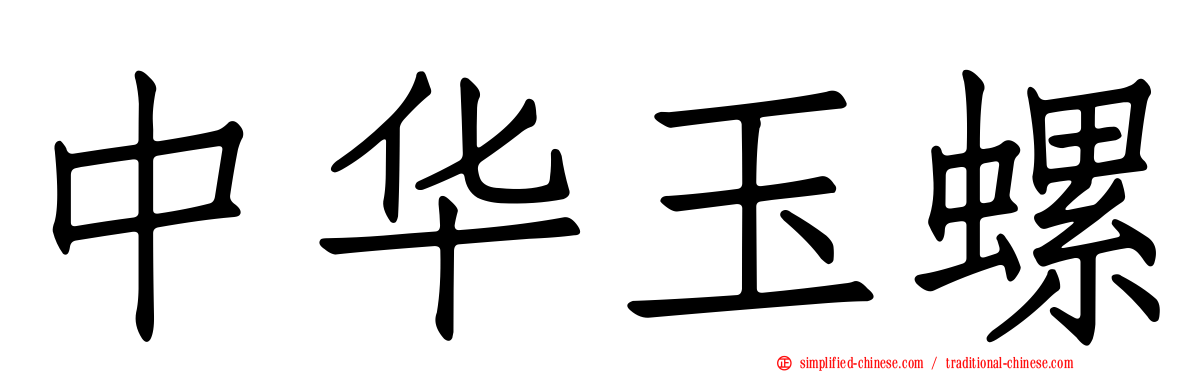 中华玉螺