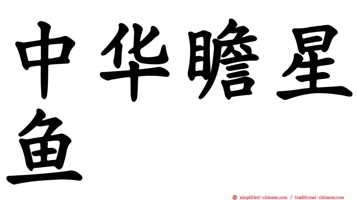 中华瞻星鱼