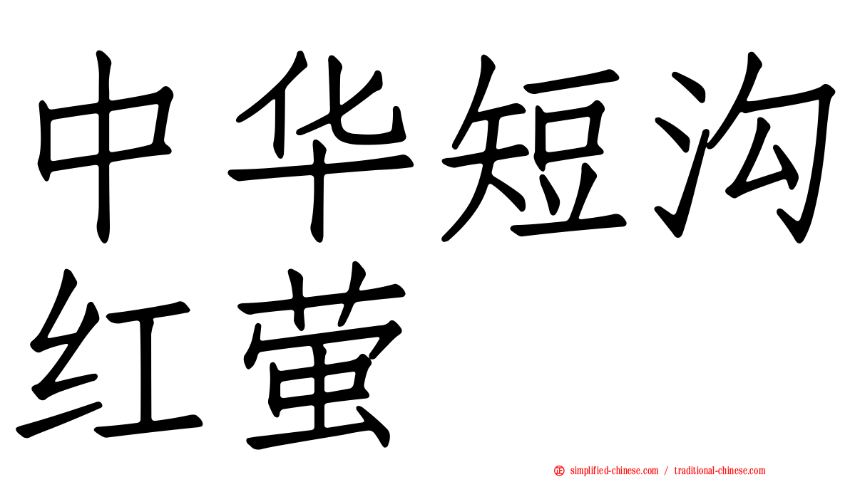 中华短沟红萤