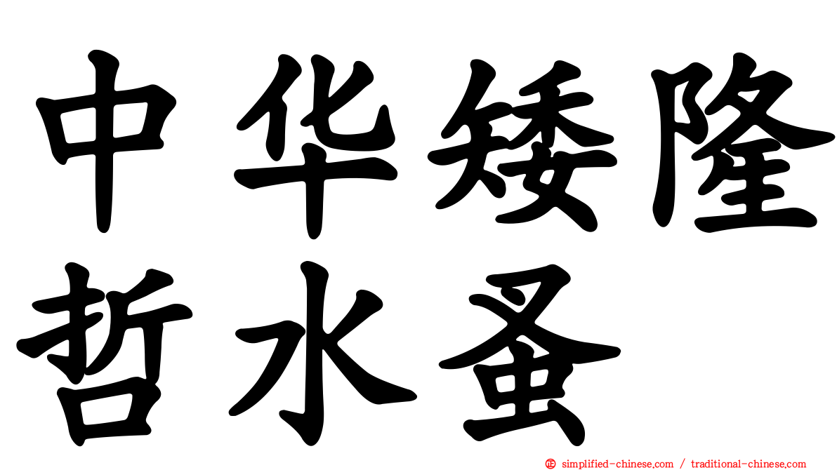 中华矮隆哲水蚤