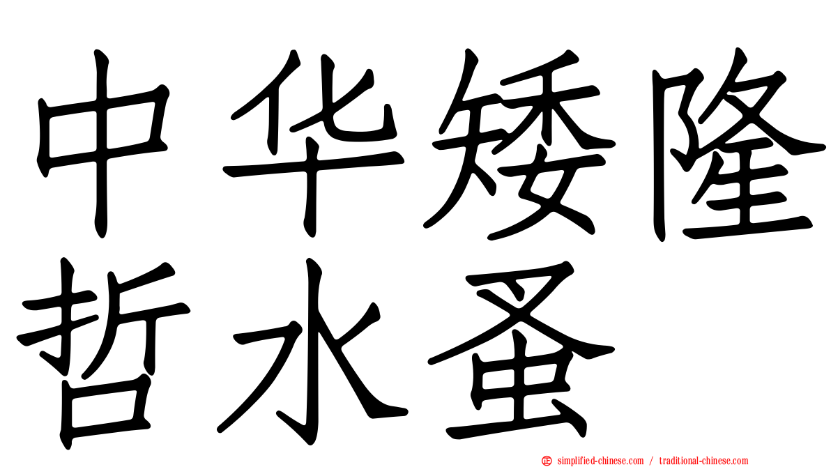 中华矮隆哲水蚤
