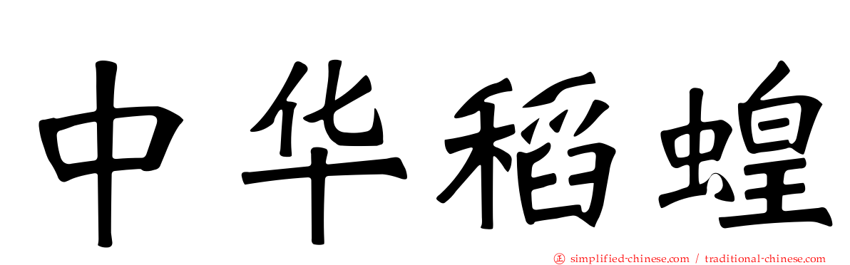 中华稻蝗