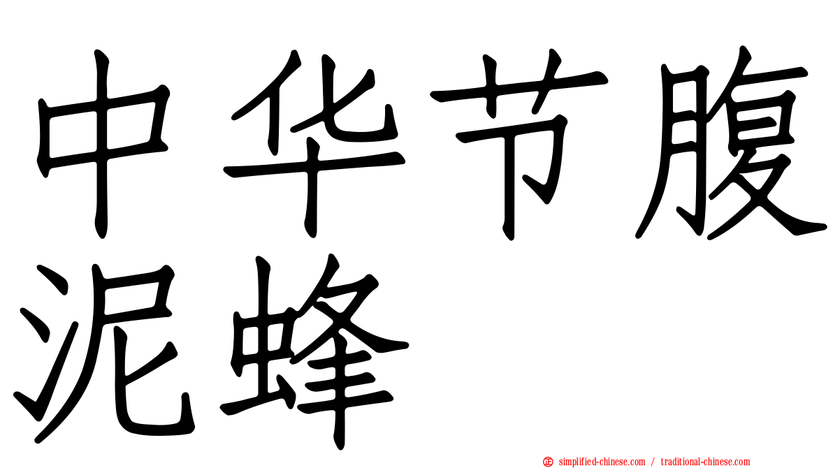 中华节腹泥蜂
