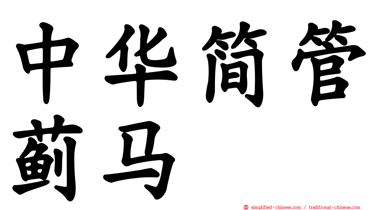 中华简管蓟马