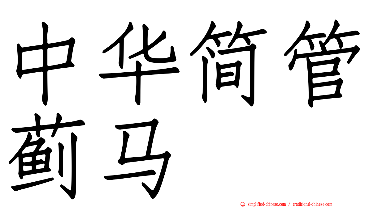 中华简管蓟马