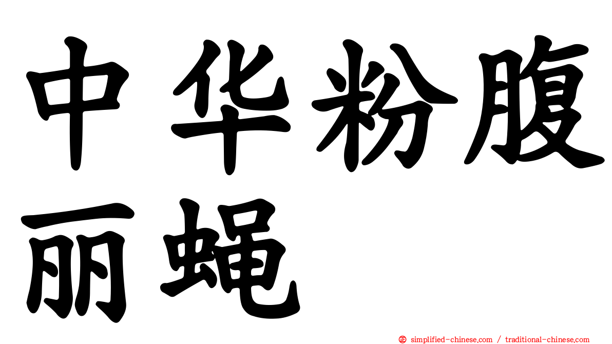 中华粉腹丽蝇