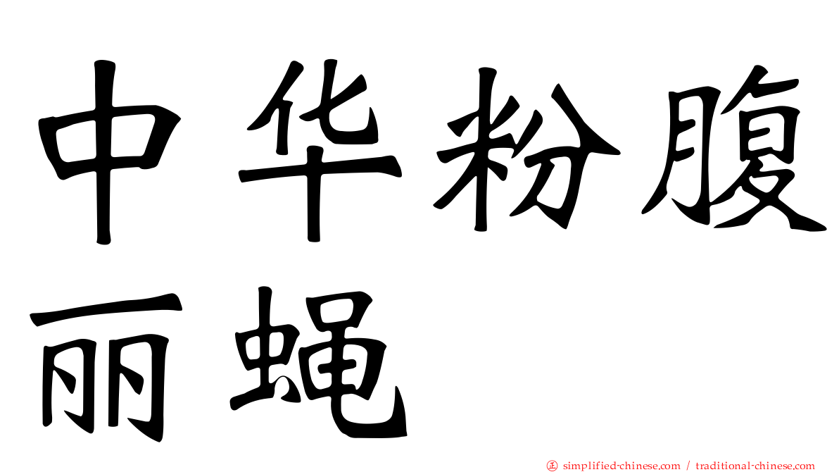 中华粉腹丽蝇