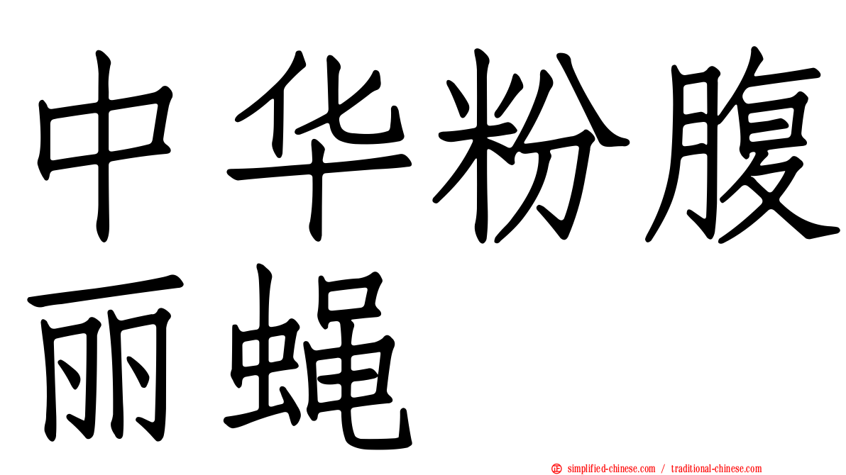 中华粉腹丽蝇