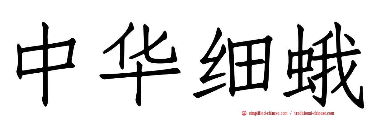中华细蛾
