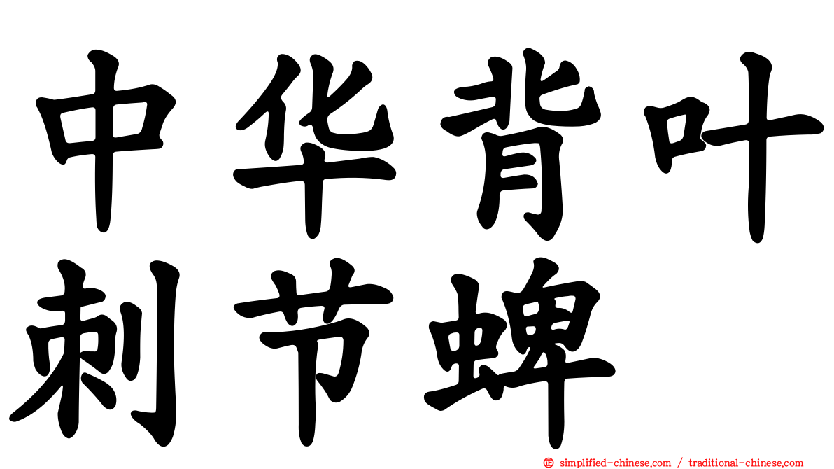 中华背叶刺节蜱