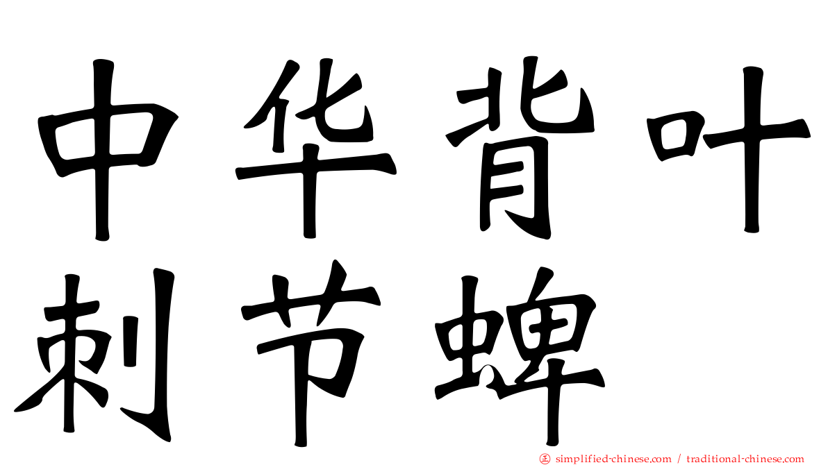 中华背叶刺节蜱