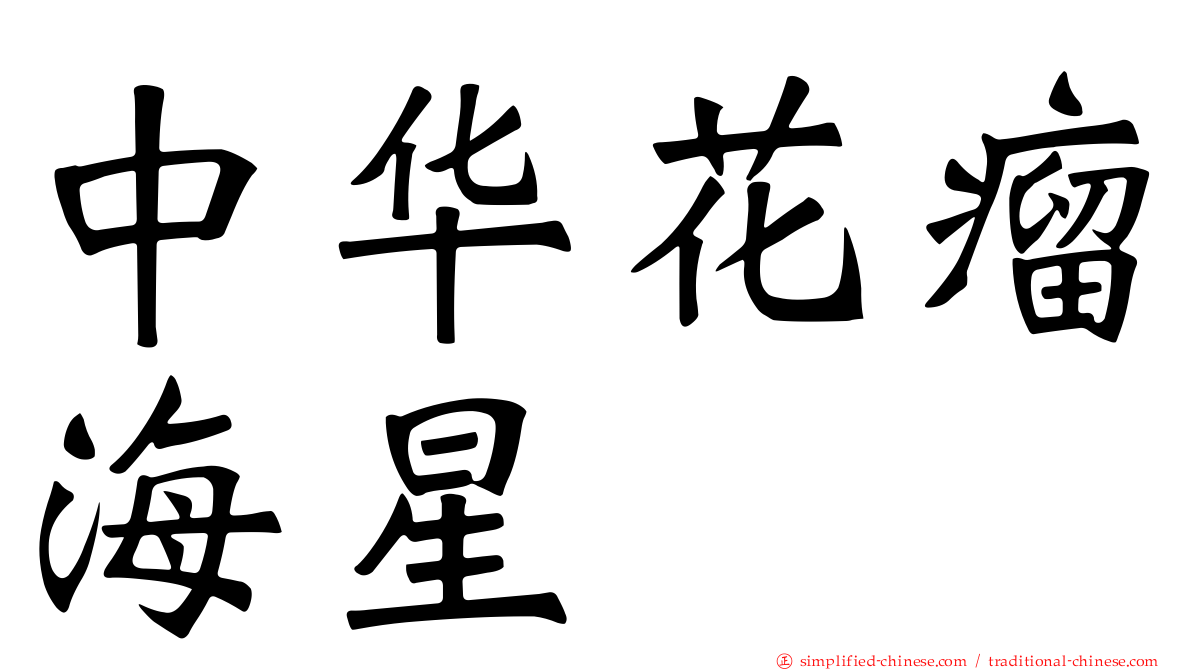 中华花瘤海星