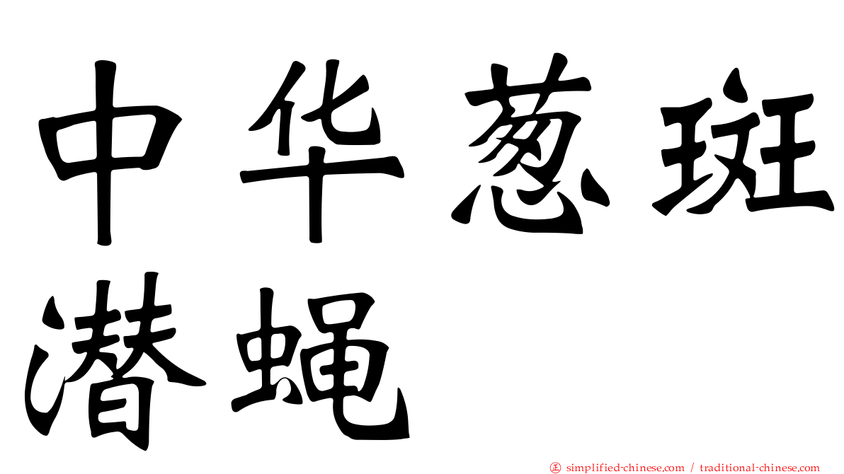 中华葱斑潜蝇