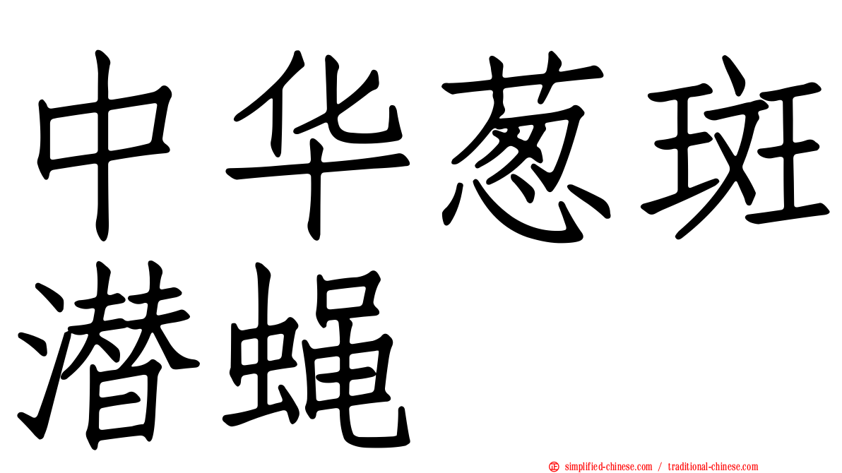 中华葱斑潜蝇