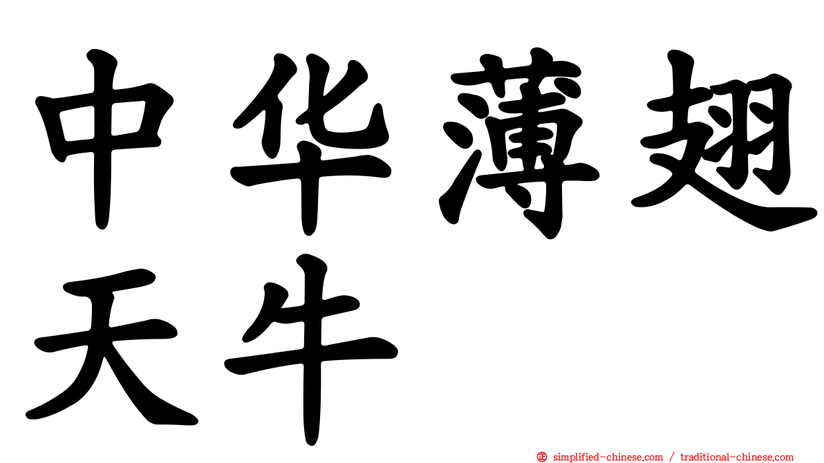 中华薄翅天牛