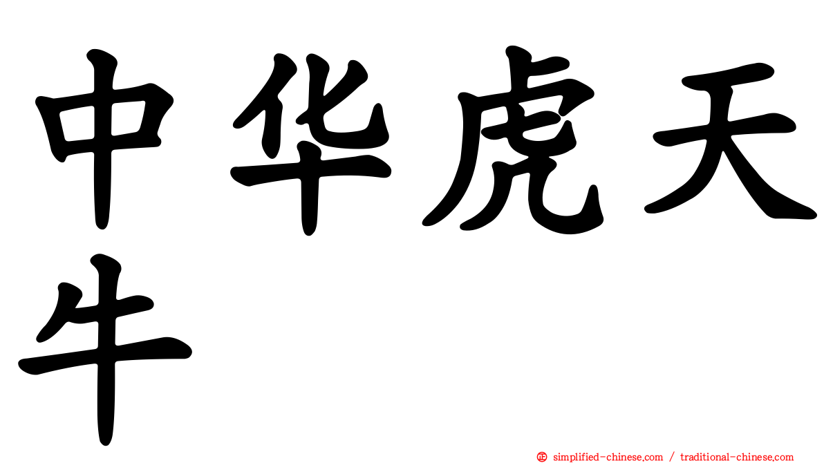中华虎天牛