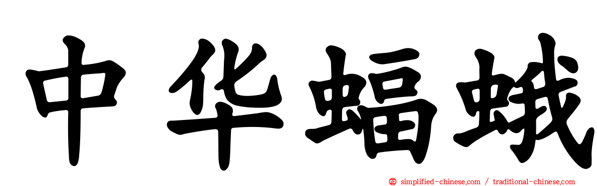 中华蝠蛾