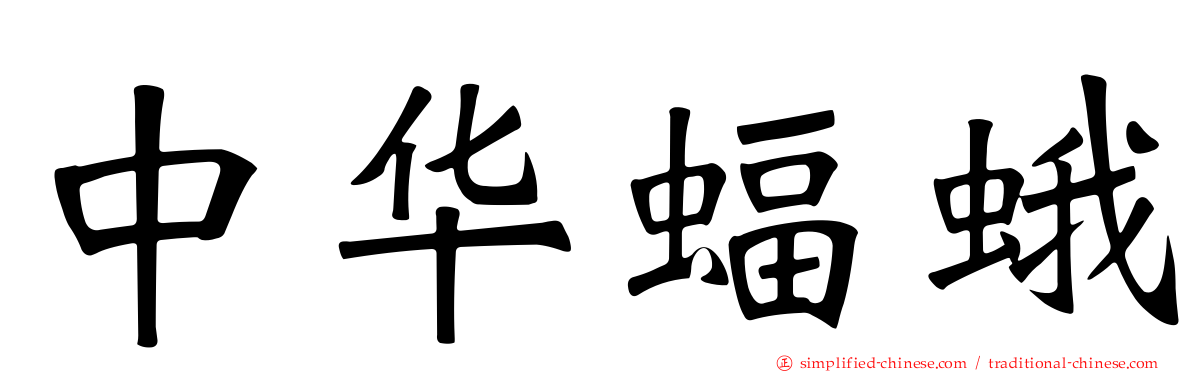 中华蝠蛾