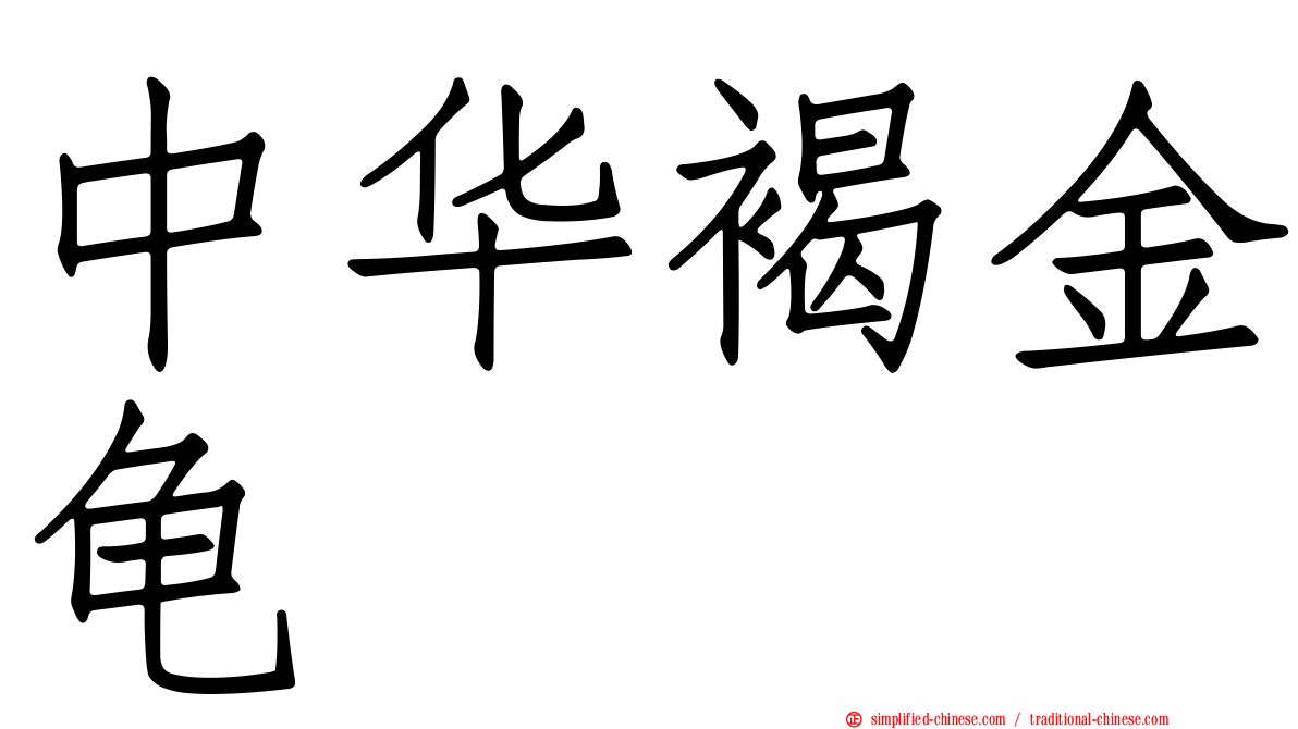 中华褐金龟