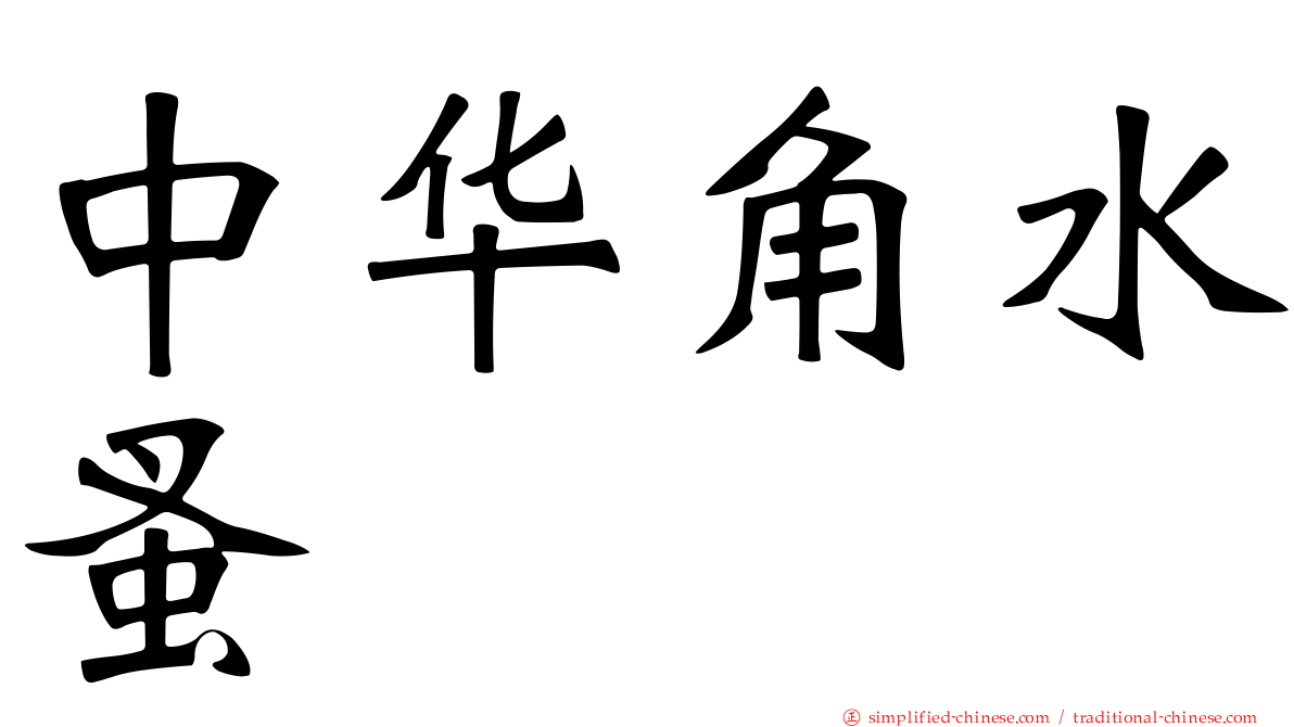 中华角水蚤