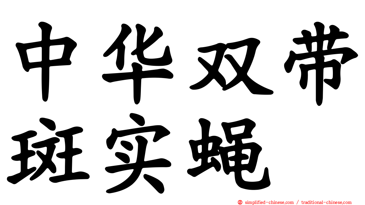 中华双带斑实蝇