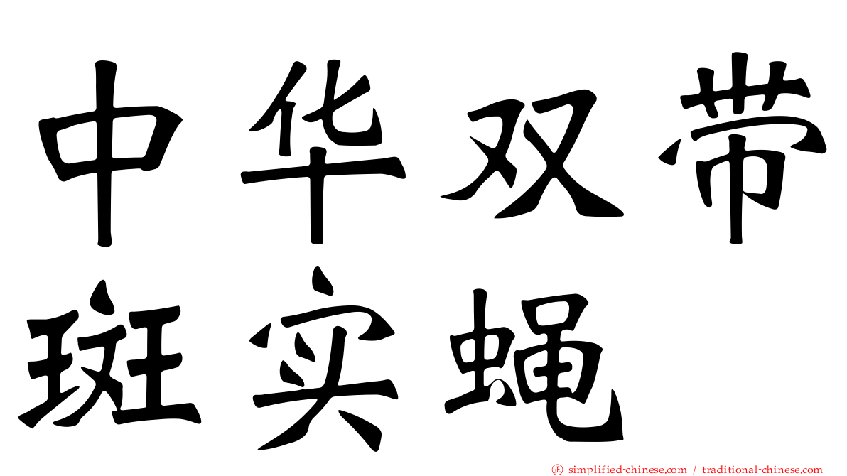 中华双带斑实蝇