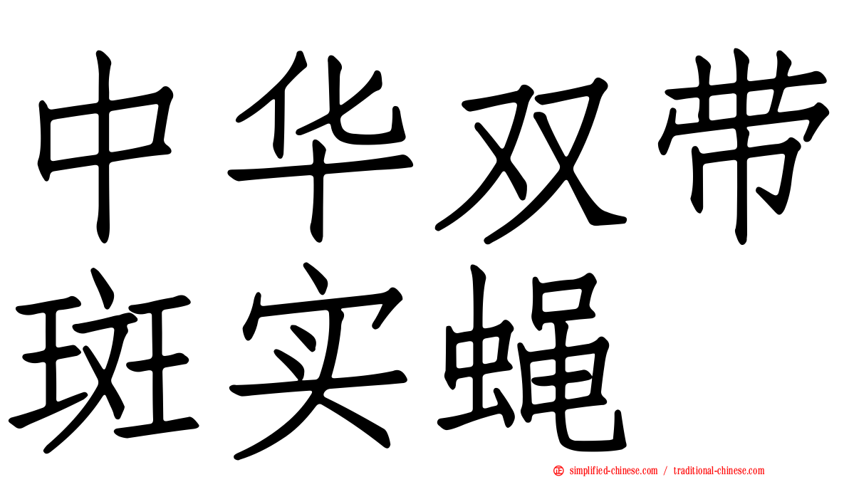 中华双带斑实蝇