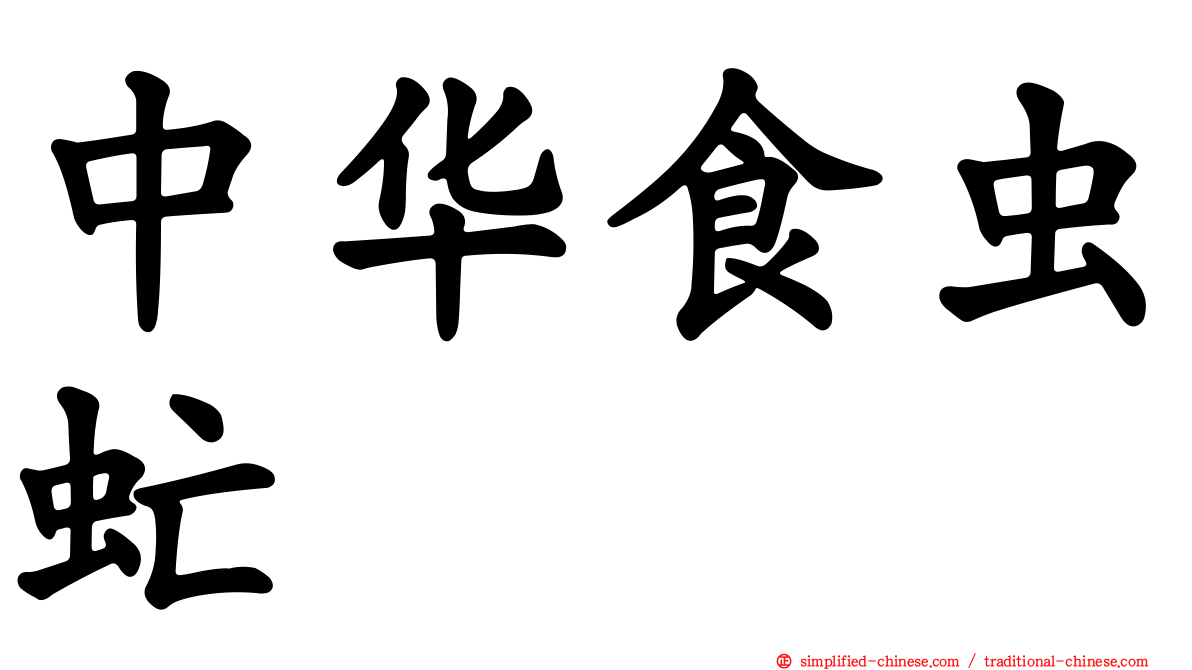 中华食虫虻