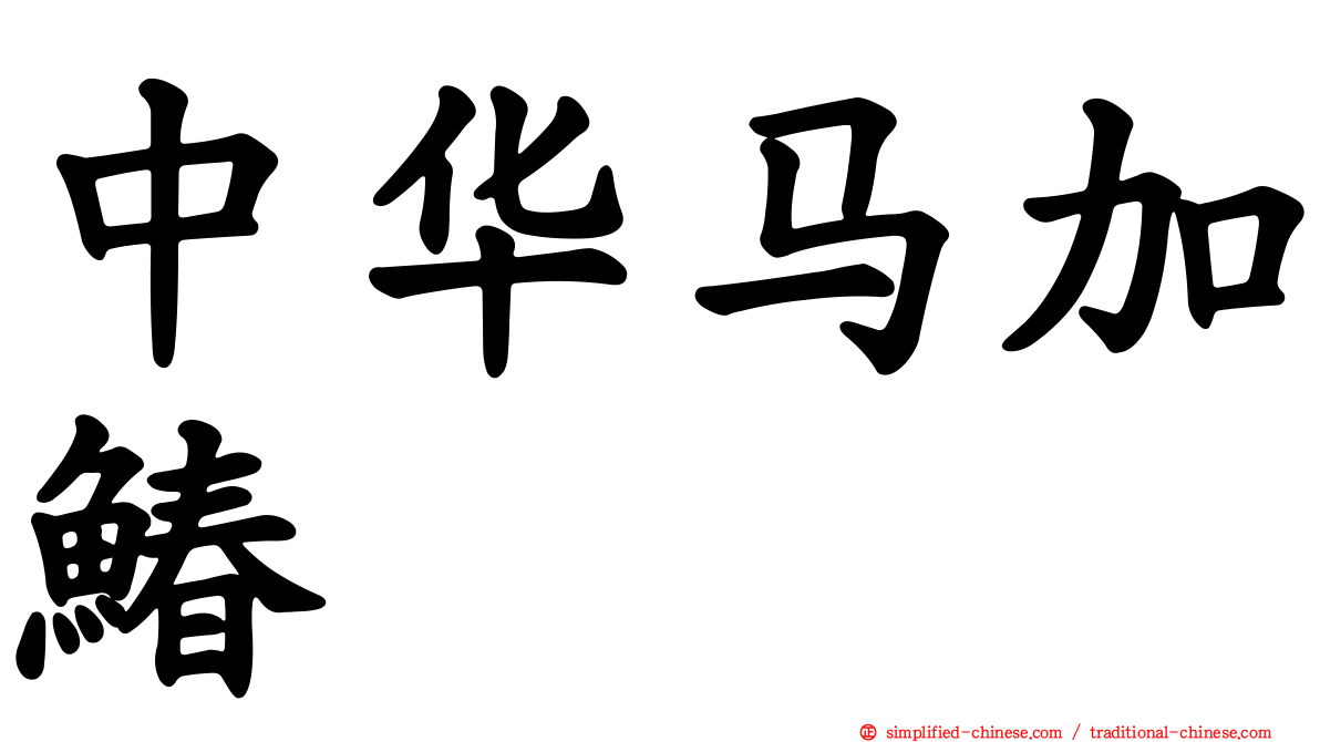 中华马加䲠