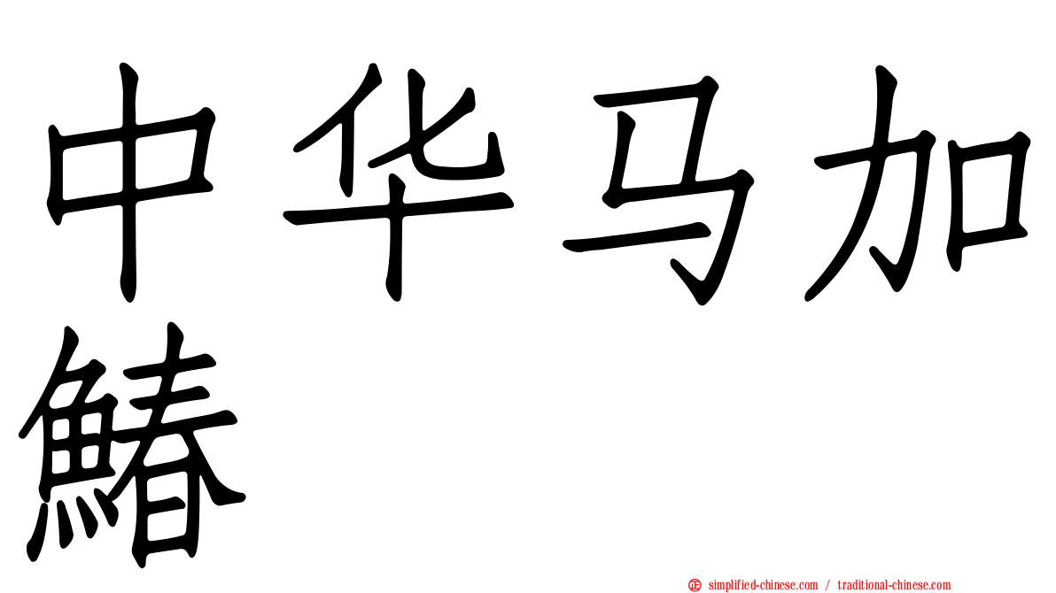 中华马加䲠