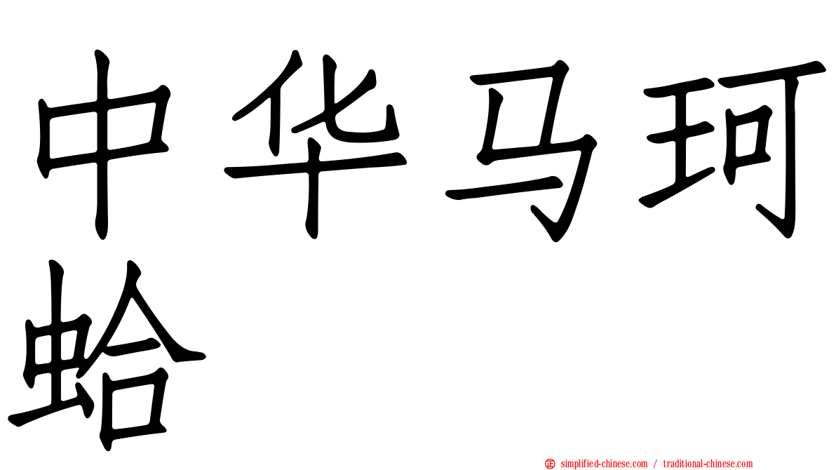 中华马珂蛤