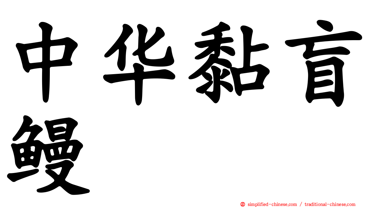 中华黏盲鳗
