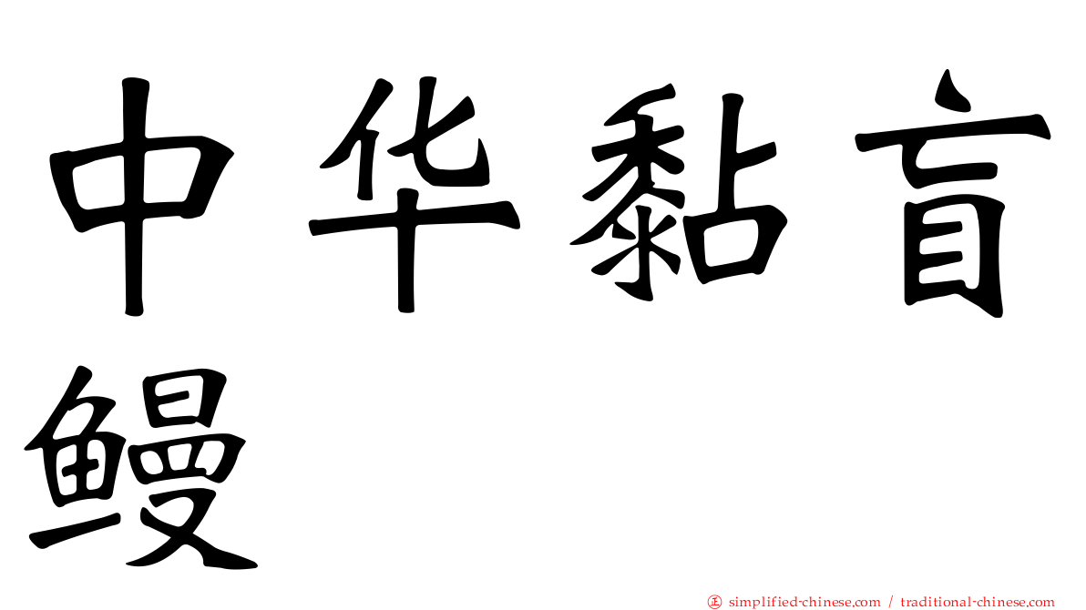 中华黏盲鳗