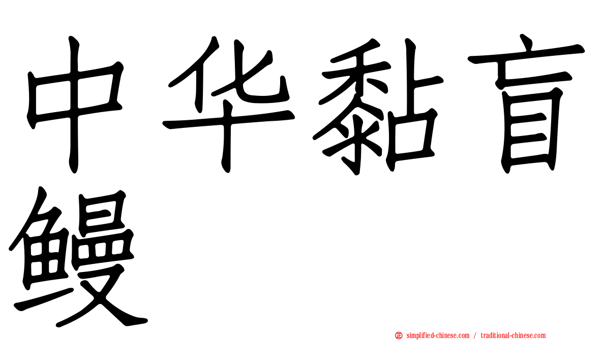 中华黏盲鳗