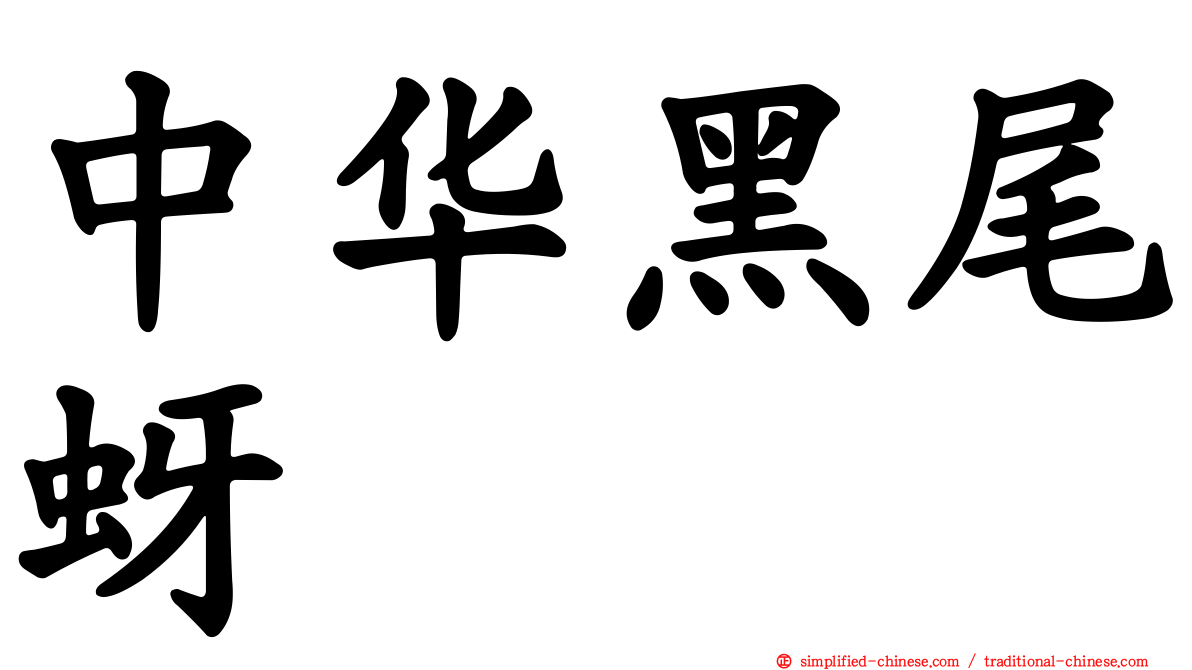 中华黑尾蚜