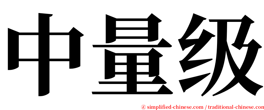 中量级 serif font