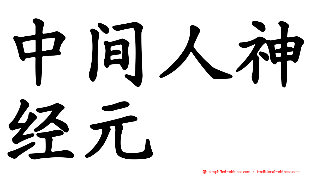 中间人神经元