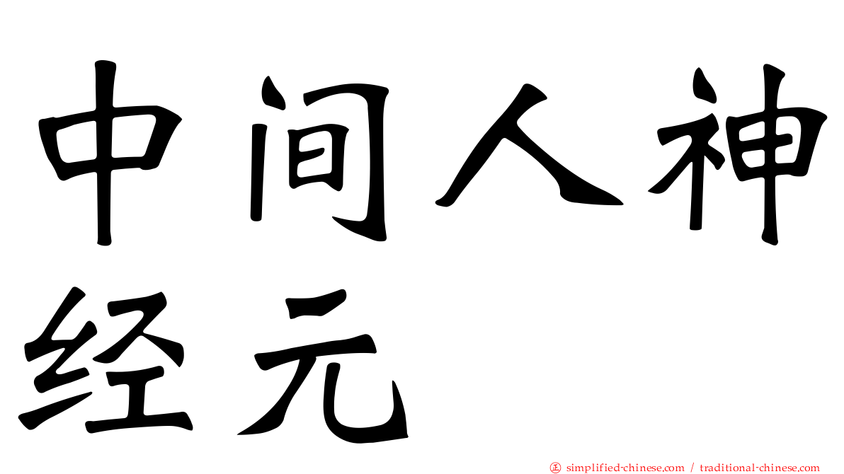 中间人神经元