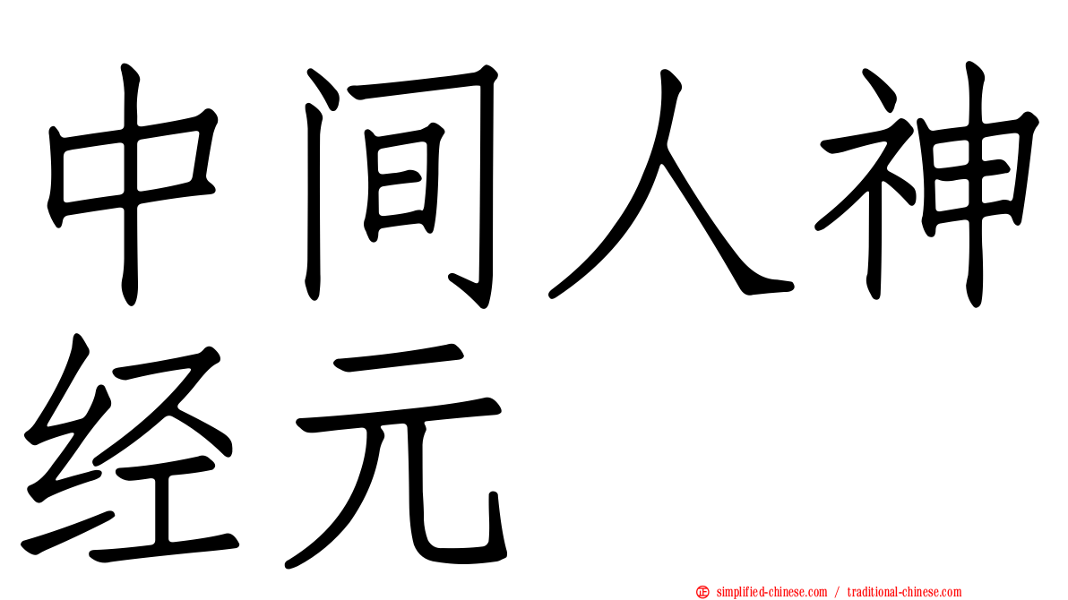 中间人神经元