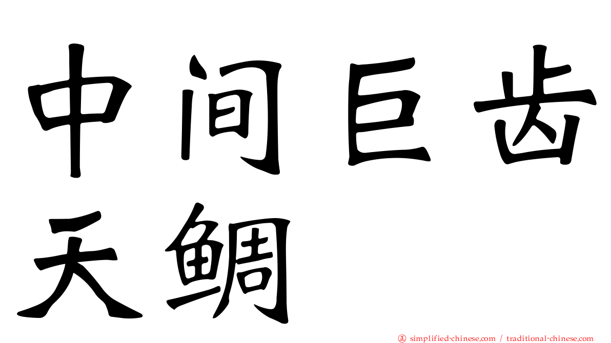 中间巨齿天鲷