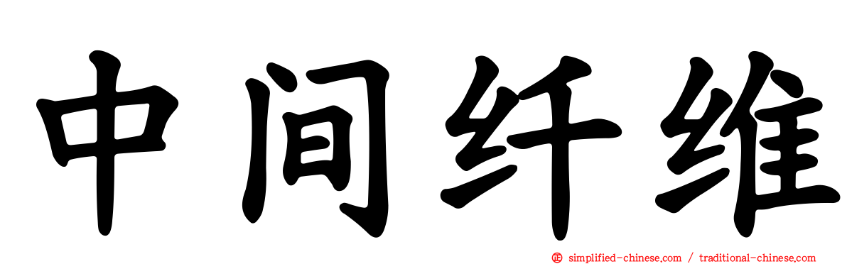 中间纤维
