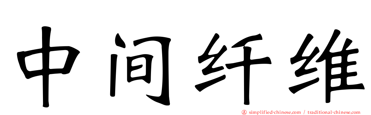 中间纤维