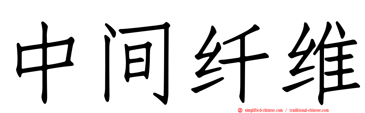 中间纤维